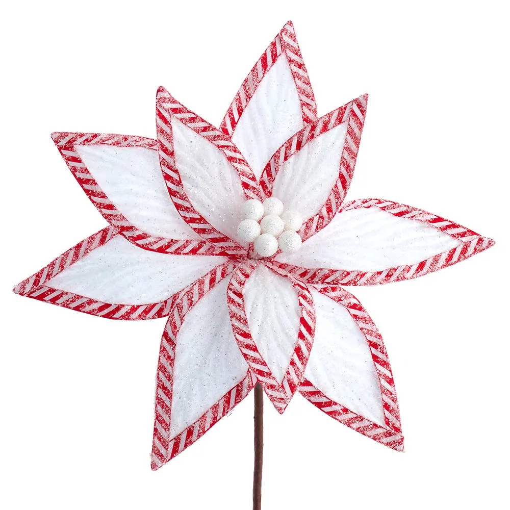 14" White Frosted Velvet Poinsettia with Candy Cane Border