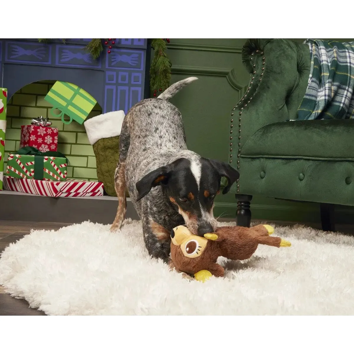 BARK Splootdolph Plush Dog Toy