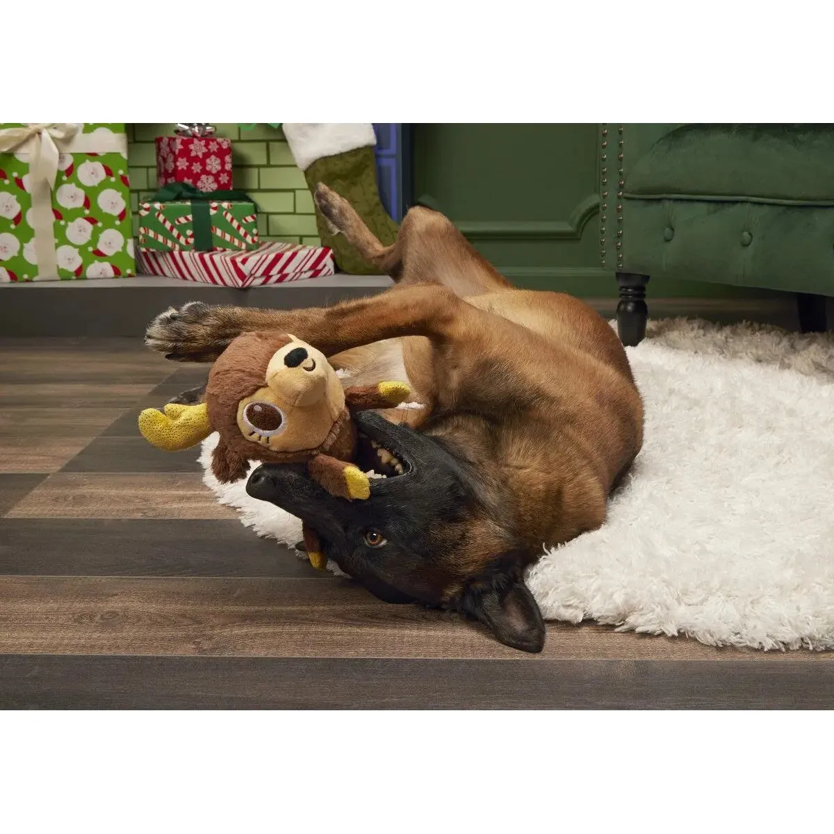 BARK Splootdolph Plush Dog Toy