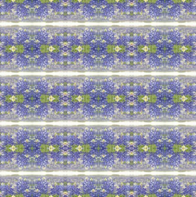 Bluebonnet Collection No. 1 - Decorative Pillow Cover