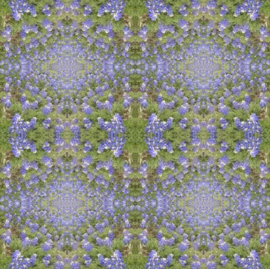 Bluebonnet Collection No. 4 - Decorative Pillow Cover