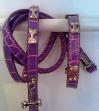 Bone Collar & Lead Set