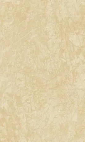 Splendour Traveller Wallpaper SD1101