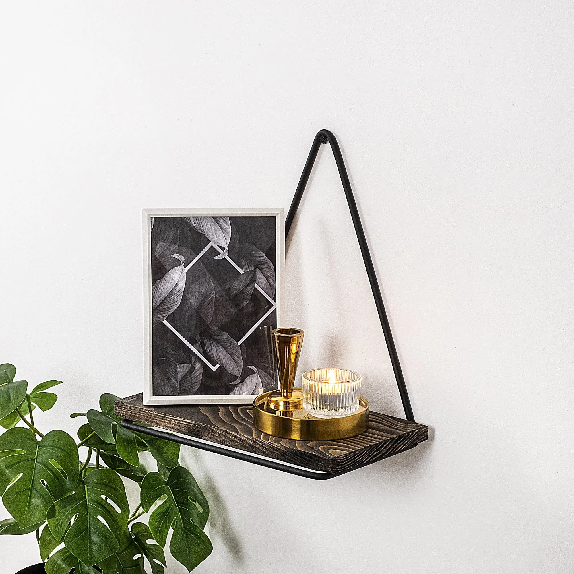 Wall Shelf Begonia